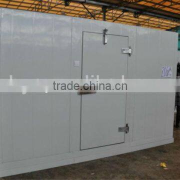 PU Storage Cooler Room for fruits