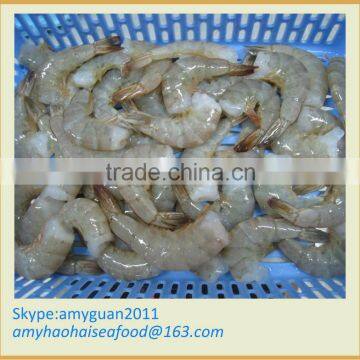 Frozen White Shrimp