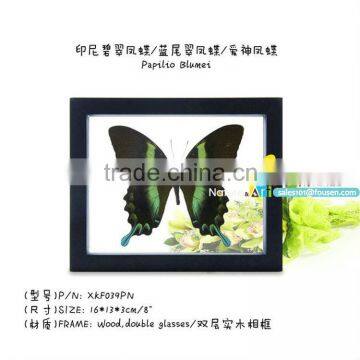 FOUSEN(039) Nature& Art Natural Species Handicraft Article