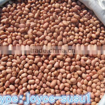 chinese java peanuts kernels