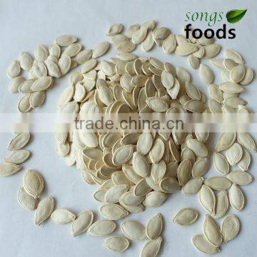 Buy New Crop shineskin pumpkin Seeds