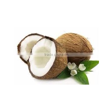 coconut/fresh mature/semi husked - natutal organic nuts