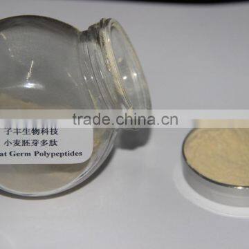 Wheat Polypeptides China Manufacturer photo-2