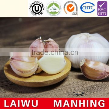 ISO Global GAP HACCP KOSHER JAS certification fresh style garlic