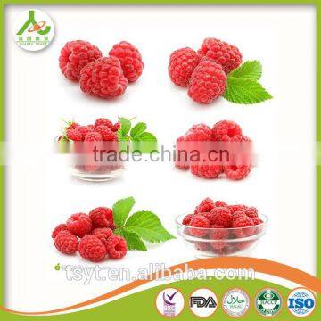 Frozen Berry Fruits/Frozen Raspberry