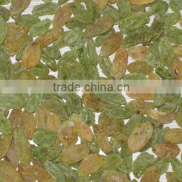Best Price Top Quality Seeded  Raisin(golden,green,sultana,sun Dried) photo-6