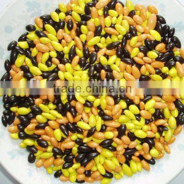 Sunflower Kenel Chocolate