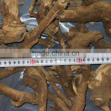 Chinese origin dried panax eleutherococcus senticosus/Siberian ginseng