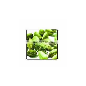 Cardamom oil exporters