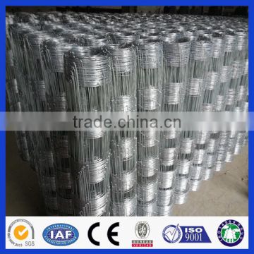 square wire mesh galvanized grassland field fence