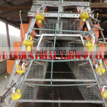 TAIYU Layer Chicken Cage with Auto Water Feed