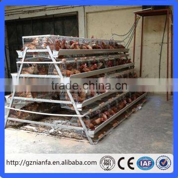 chicken breeding cage with galvanized A or H type cages for poultry equipment(Guangzhou Factory)