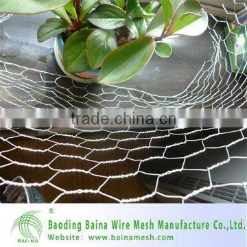 hexagonal mesh for plant climbing