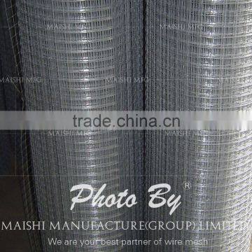 50x50mm Galvanzied Welded Wire Mesh photo-4