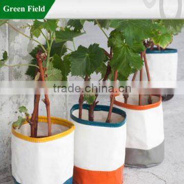 Green Field Colorful Canvas Grow Bag Planter,Unique Colorful Canvas Grow Bag Planter photo-1