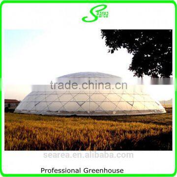 Multispan Tunnel Greenhouse for Strawberry Grape Raspberry , Agricultural Green Houses photo-3