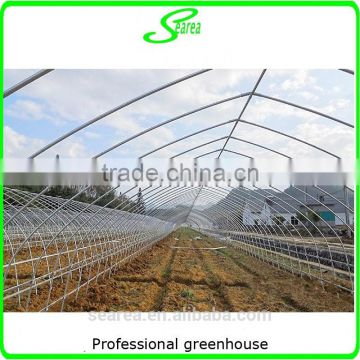 Plastic film cover steel frame used greenhouse