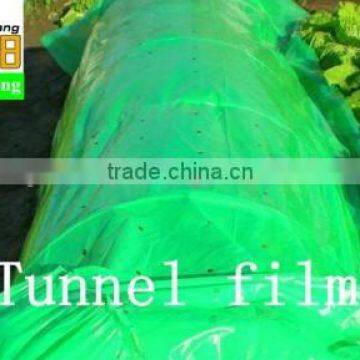 70micorn Thickness PE Plastic Tomato Plant Cover for Agricultural Use photo-2
