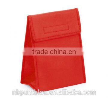 Non-woven Foldable Cooler Bag With Handle for Promtional photo-5