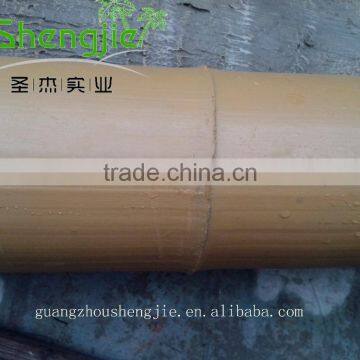 SJLJ013211 Artificial Tree and Plant / Fake Plastic Bamboo Plant for Home / Garden Decoration photo-3