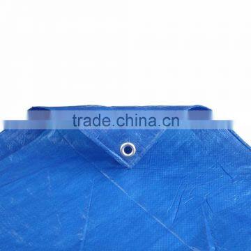 Greenhouse Floor Covering photo-6