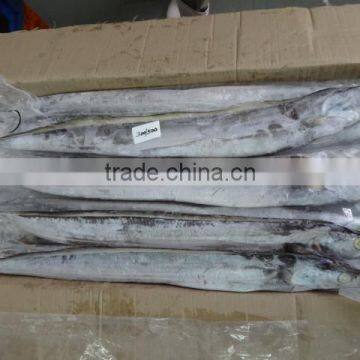 IQF Ribbon Fish photo-4