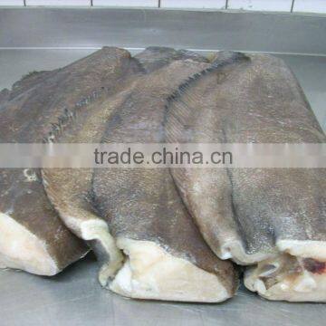 Halibut photo-2
