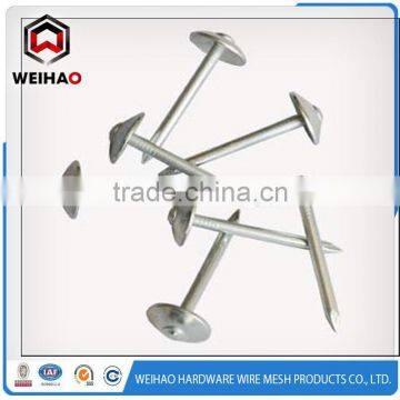 Polished Galvanized Zinc Plated Umbrella Head ROOFING NAIL
