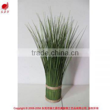 Hotsales Natural Cylinder Onion Grass for Garden Decoraction photo-2