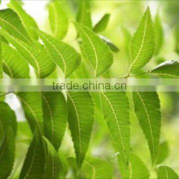 Neem Oil photo-3