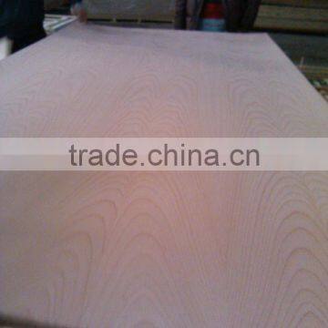 4.75mm beech veneer with low price