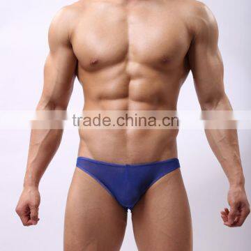 Without Logo Hot Sexi Photo Image Of Transparent Mesh Underwear Briefs Custom SC14 photo-2