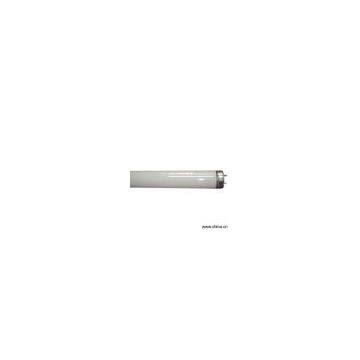 Sell Double-Capped Fluorescent Lamps with Starter (T10)