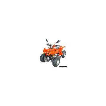 ATV (110cc)
