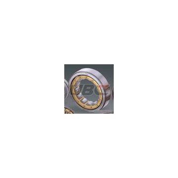 UBC Cylindrical Roller Bearings Series