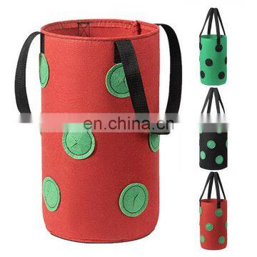 Felt Garden Grow Bags for Strawberry Growing photo-2