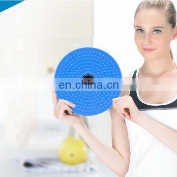 Wholesale Fitness Lose Weight High Quality Twisting Waist Dish photo-5