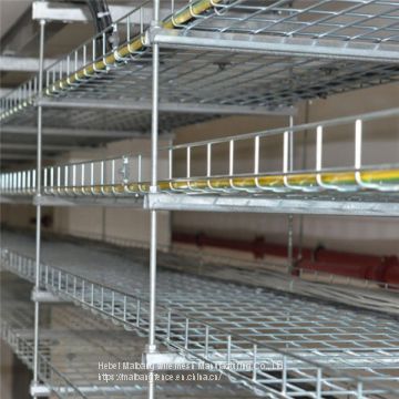 Stainless Steel 316 Wire Mesh Cable Tray Basket Wire Mesh Cable Tray Price