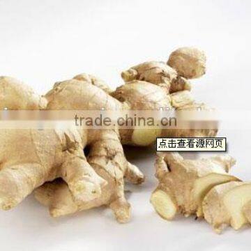 fresh/dried ginger