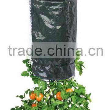 Garden Upside down tomato planter