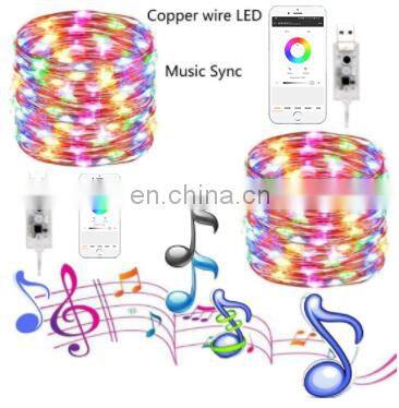 Indoor Holiday decorations Led Smart Christmas tree Light string for phone APP wireless control