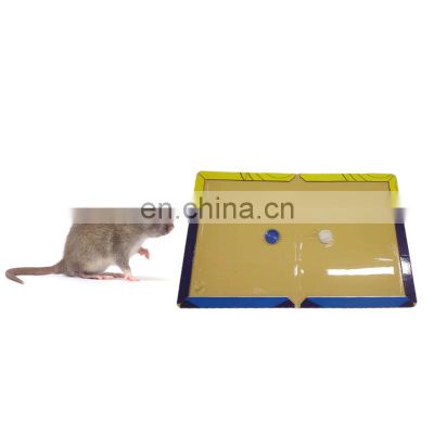 Efficiency in Kitchen Synechia Rat for Hard Mouse Glue Trap Paper Board