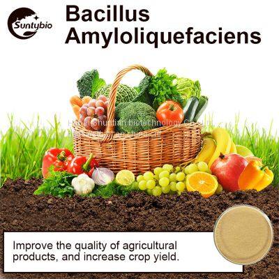 Bacillus Amyloliquefaciens photo-5