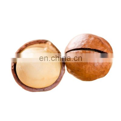 First Grade Macadamia Nuts With Best Quality From byloo Brand In china with vacuum bag packing or zip lock stand bag online shop