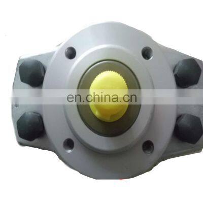 Original quality HAWE hydraulic piston pump R1.0