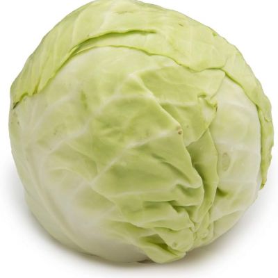 Fresh Cabbage