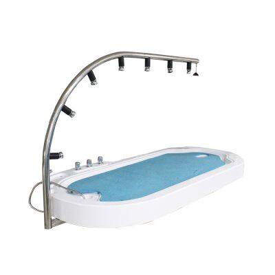 Pikes VTSPA-02 Acrylic Material Beauty Spa Water Hydro Therapy Massage Bed