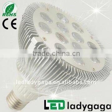 12w par 38 led spotlight