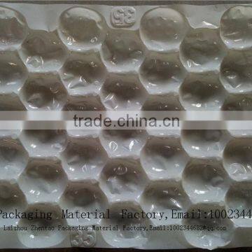 Biodegradable Plastic Thermoforming Fruit Packaging Tray photo-6