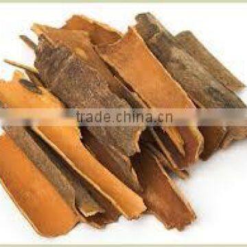 Cinnamon Essential Oil